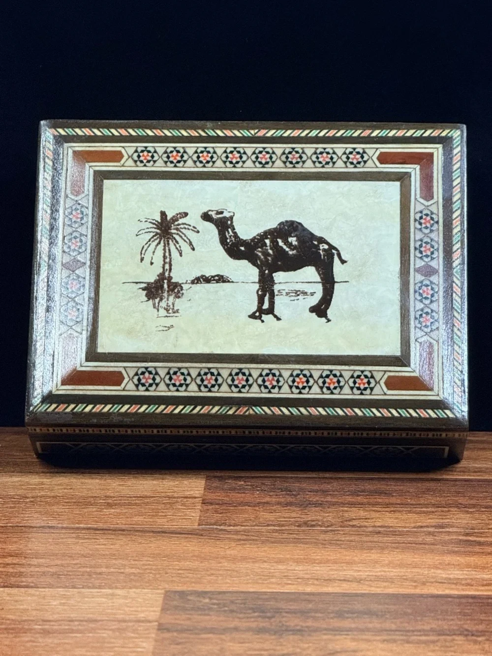 Jewelry Box and/or Storage Box with Camel on Lid
